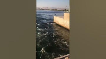 وجعلنا من الماء كل شيء حي سورة الأنبياء