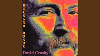 Video thumbnail of "David Crosby - Hero"