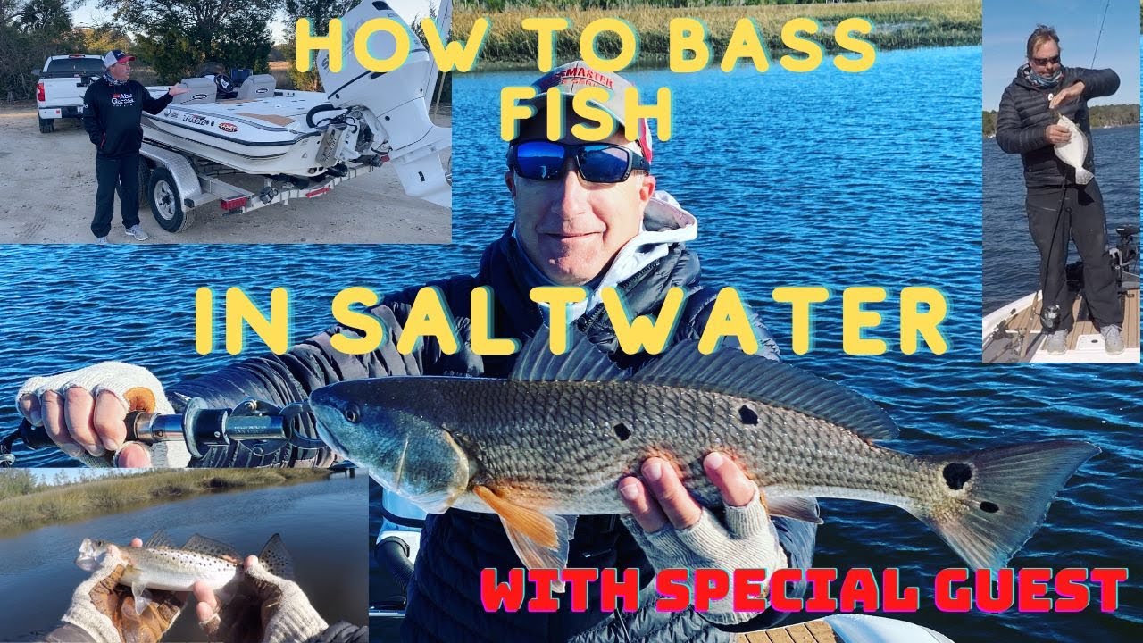 How to Bass Fish for Saltwater Fish YouTube