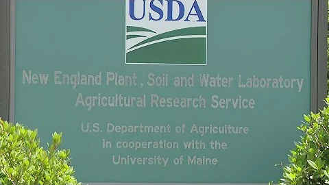 Maine could lead the nation with PFAS research, solutions