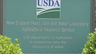 Maine could lead the nation with PFAS research, solutions Wealth
