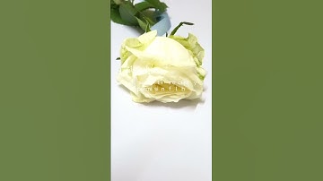 تلاوة هادئة تريح الأعصاب والقلب 💙 🌼 قران كريم بصوت جميل جدا سورة التغابن 🌱
