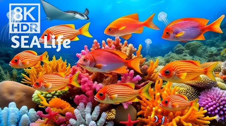 Deep Healing Music, Underwater Relaxation Music, Instant Relief from Stress and Anxiety, Calm Nature