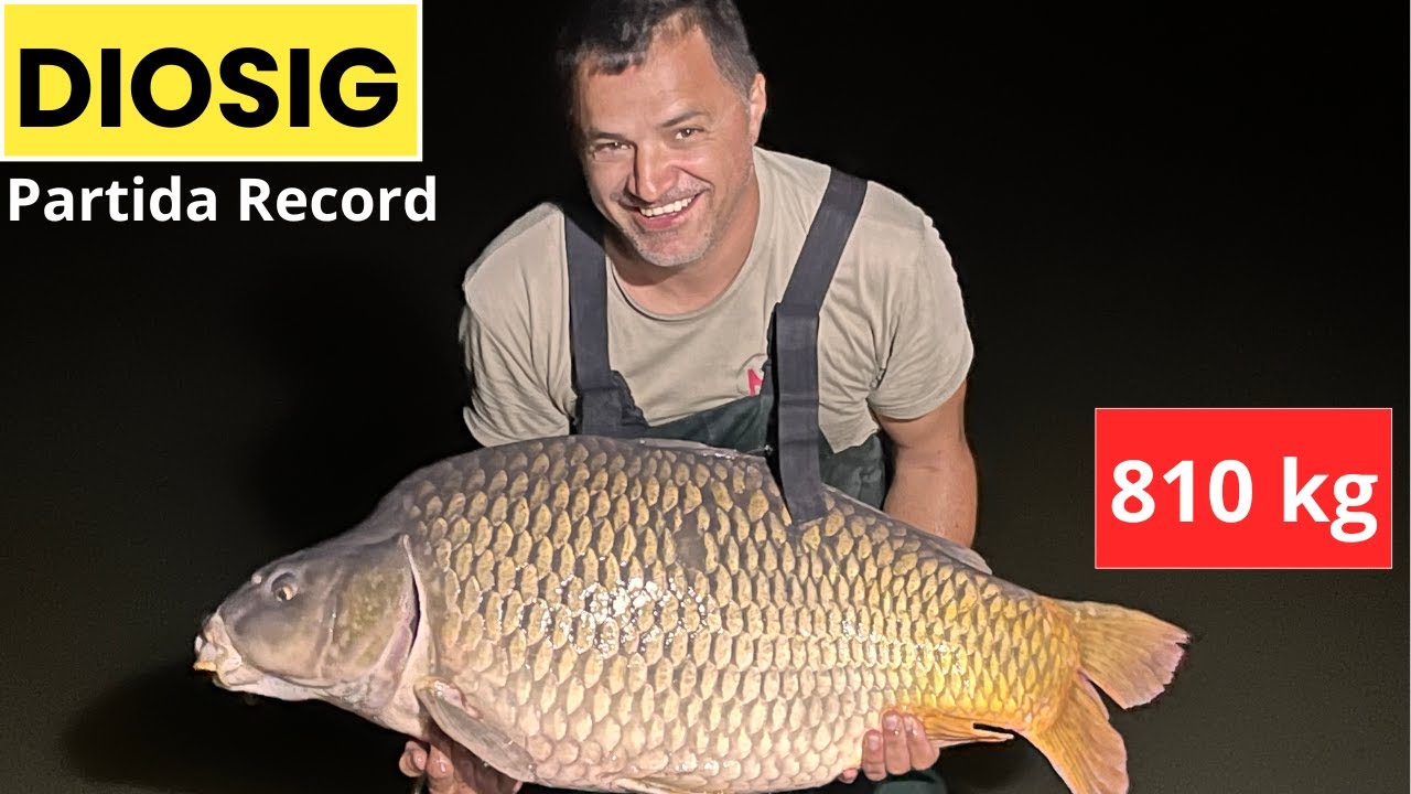 Ловля карпа с Питером №23 | Ферма Diosig Carp | Рекордная игра