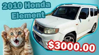 2910 Honda Element SC unicorn 🦄 FOR SALE