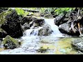 30 Min Pure River Sound for Deep Sleep 🌊 No Music (Bubbling Water Noise for Insomnia, Study & Focus)