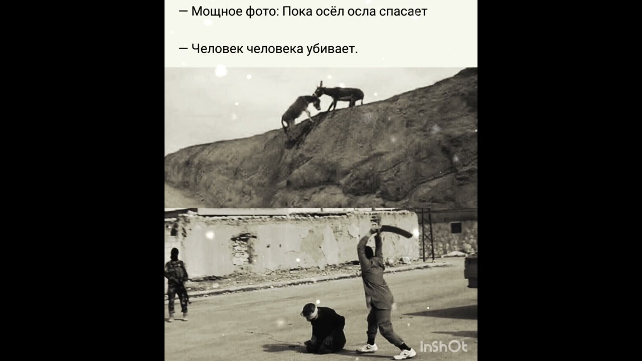 мотивация философия и жизнь #цитатыпрожизнь #цитатыосмысле #motivational #психология #любовь