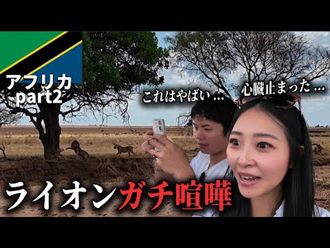 ついにライオンの生吠えが聞こえた...【タンザニア】Part 2