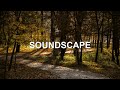 SOUNDSCAPE - 1 Hour Full Progressive House mix to #relax and #chill
