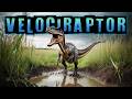 Velociraptor Adventure Quiz