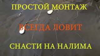 ДЕЛАЕМ  ДОНКИ на НАЛИМА, СУДАКА! ЛОВЯТ И НЕ ПУТАЮТСЯ #всегданарыбалке #монтажснасти #налим #донки