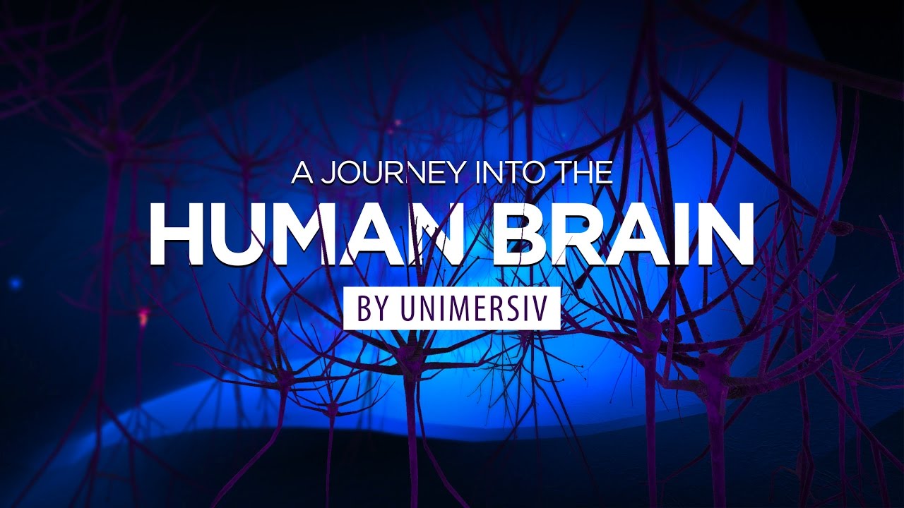 Explore The Human Brain In Vr With A Journey Into The Brain
