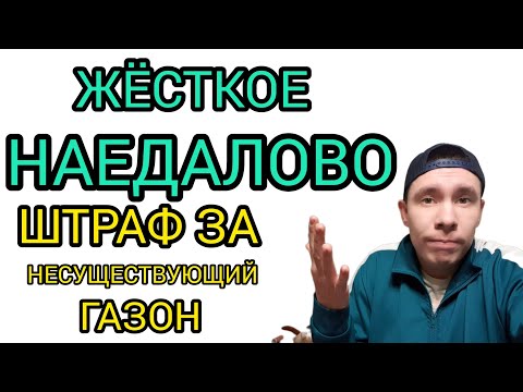 Штраф 4000 рублей за несуществующий газон!