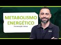 FERMENTAÇÃO LÁCTICA - Metabolismo Energético