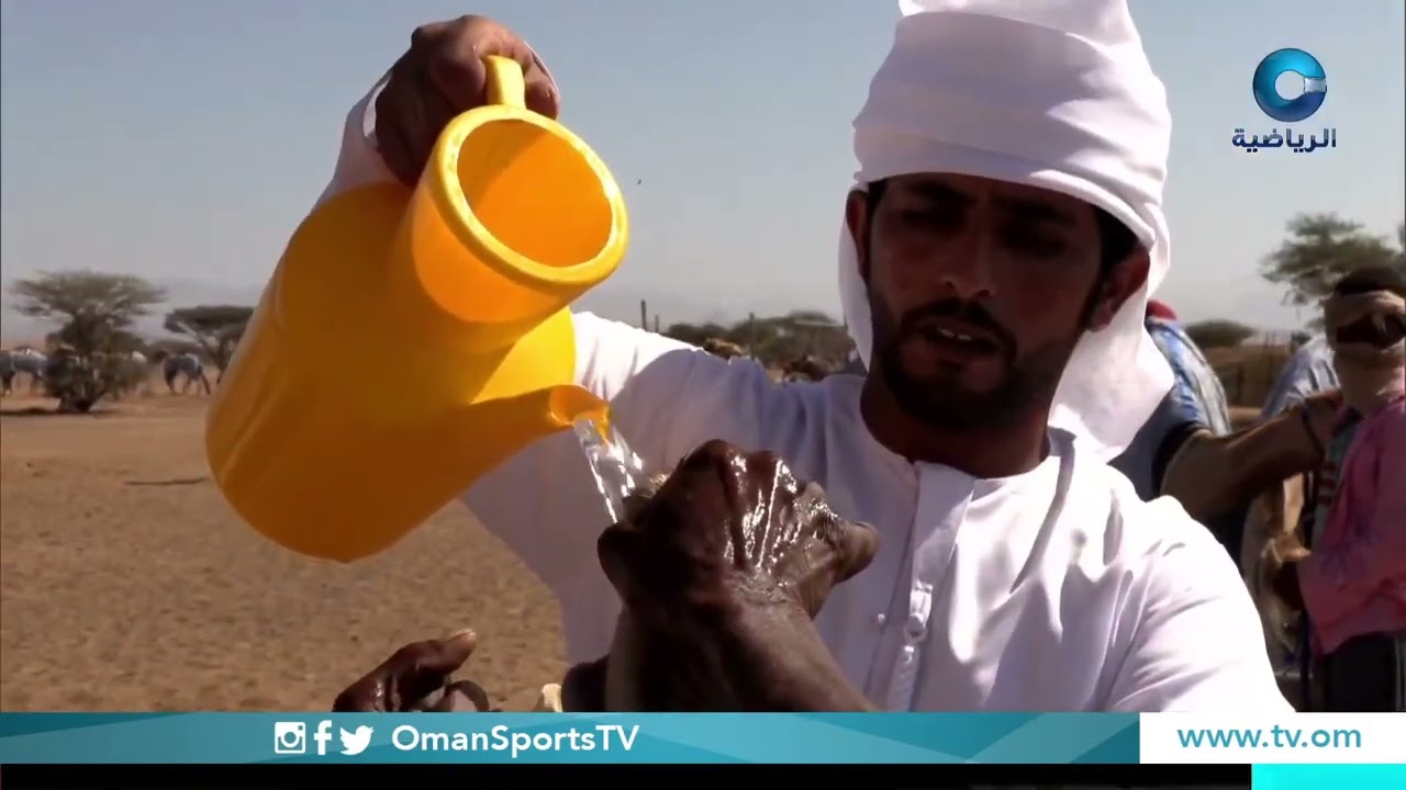 برنامج #المضمر /عامر بن راشد العمري