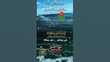 تلاوة خاشعة عطرة مباركة جميلة عذبة للشيخ ماهر المعيقلي ماتيسر من سورة الأعلى