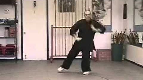 Pa Kua - Palm Changes - Follow Through Palm - Walking Right Side