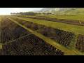 How Roman and World History was forever changed - Battle of the Frigidus 394 AD