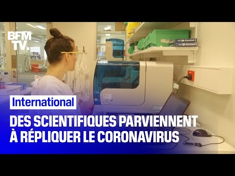 Australie: des scientifiques parviennent à répliquer le coronavirus chinois Australie: des scientifiques parviennent à répliquer le coronavirus chinois