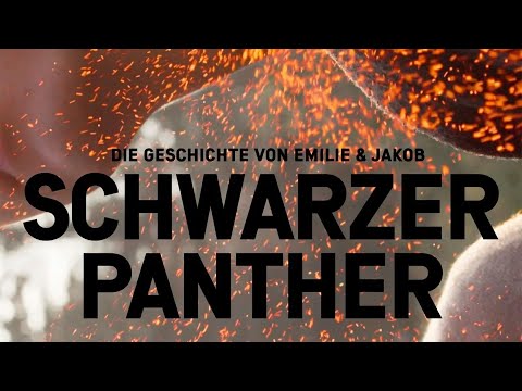 Schwarzer Panther (2017) [Drama] | ganzer Film (deutsch) ᴴᴰ