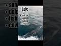 SUNRISE Dolphins Fishing &amp; Ceviche