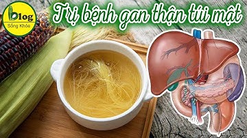 Tác dụng bất ngờ của Râu ngô râu bắp mà bạn nên biết