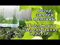 Зимняя теплица . Обзор... Что сегодня растёт?