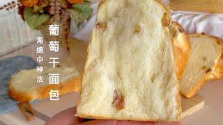 【CC】如棉花般轻柔的葡萄干海绵吐司面包  Delicious Raisin Toast Bread Using the Sponge Method - Soft and Fluffy