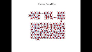 Growing Neural Gas Implementation