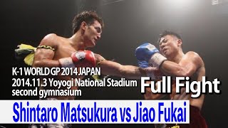 Shintaro Matsukura vs Jiao Fukai 2014.11.3 Yoyogi National Stadium second gymnasium