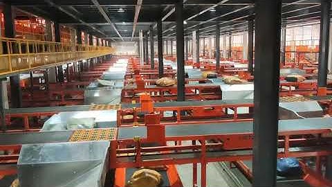 Five side DWS Parcel Sorting Solution