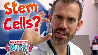 What Are Stem Cells? Science Made Easy Operation Ouch
