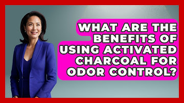What Are the Benefits of Using Activated Charcoal for Odor Control? | Get Rid Of Guide
