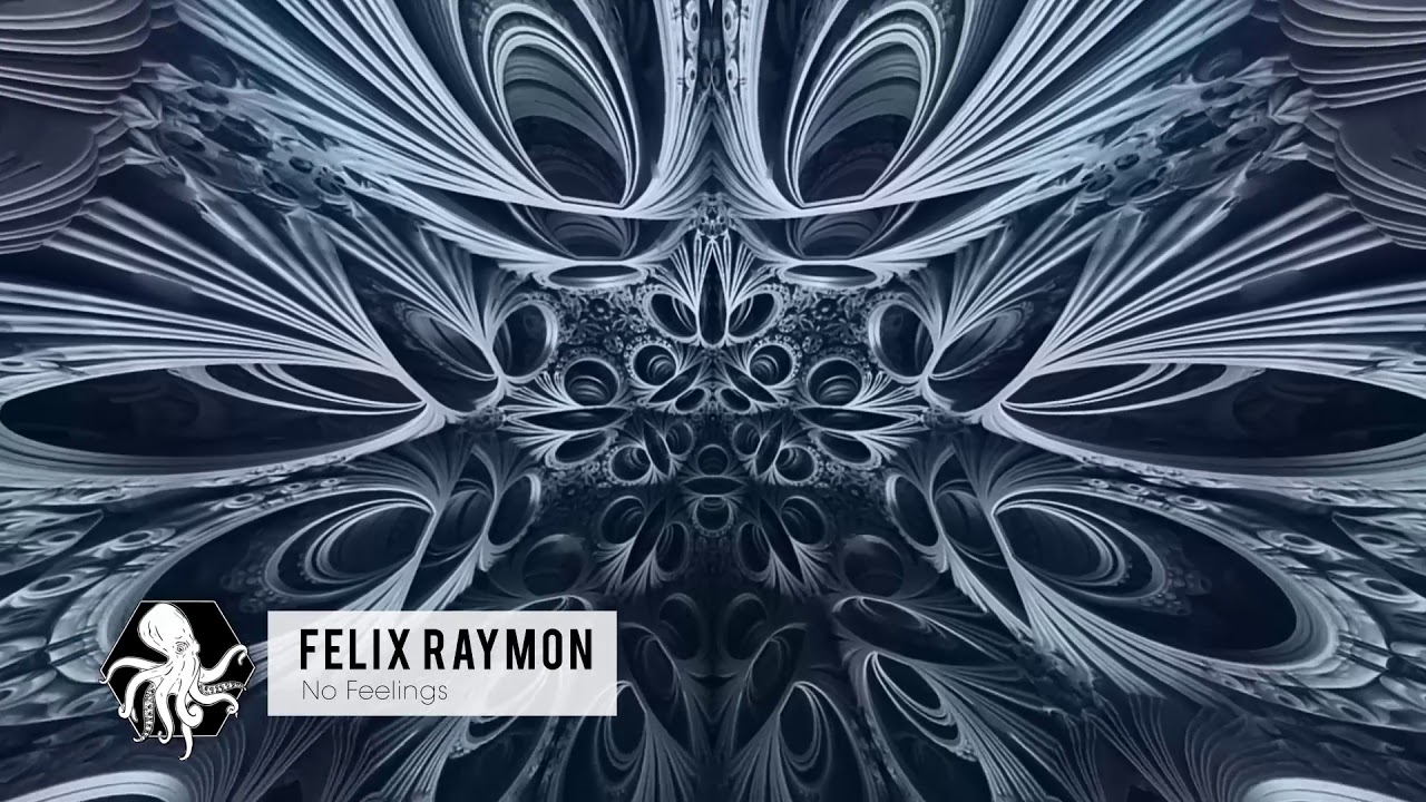 Felix Raymon - No Feelings