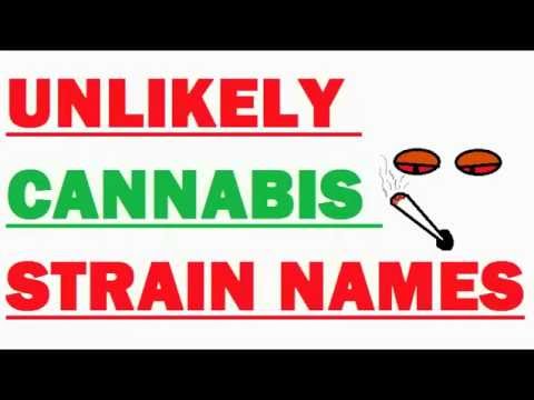 unlikely-cannabis-strain-names.-funniest-comment-wins-fuck-all.-funny/comments/stand-up/comedy