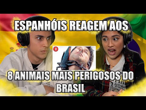 Vídeo: 8 Superstições Animais Surpreendentes