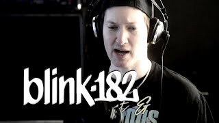 BLINK-182 - ALL THE SMALL THINGS (Cover)