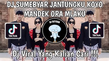 DJ SUMEBYAR JANTUNGKU KOYO MANDEK ORA MLAKU TRESNOKU YO MUNG KOWE RA ONO LIYANE | DJ TULUS VIRAL!