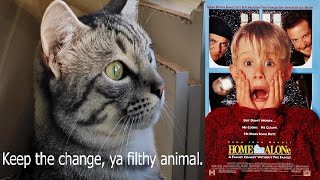 my cat finally watched... Home Alone by Taz 11,878 views 4 months ago 1 minute, 5 seconds