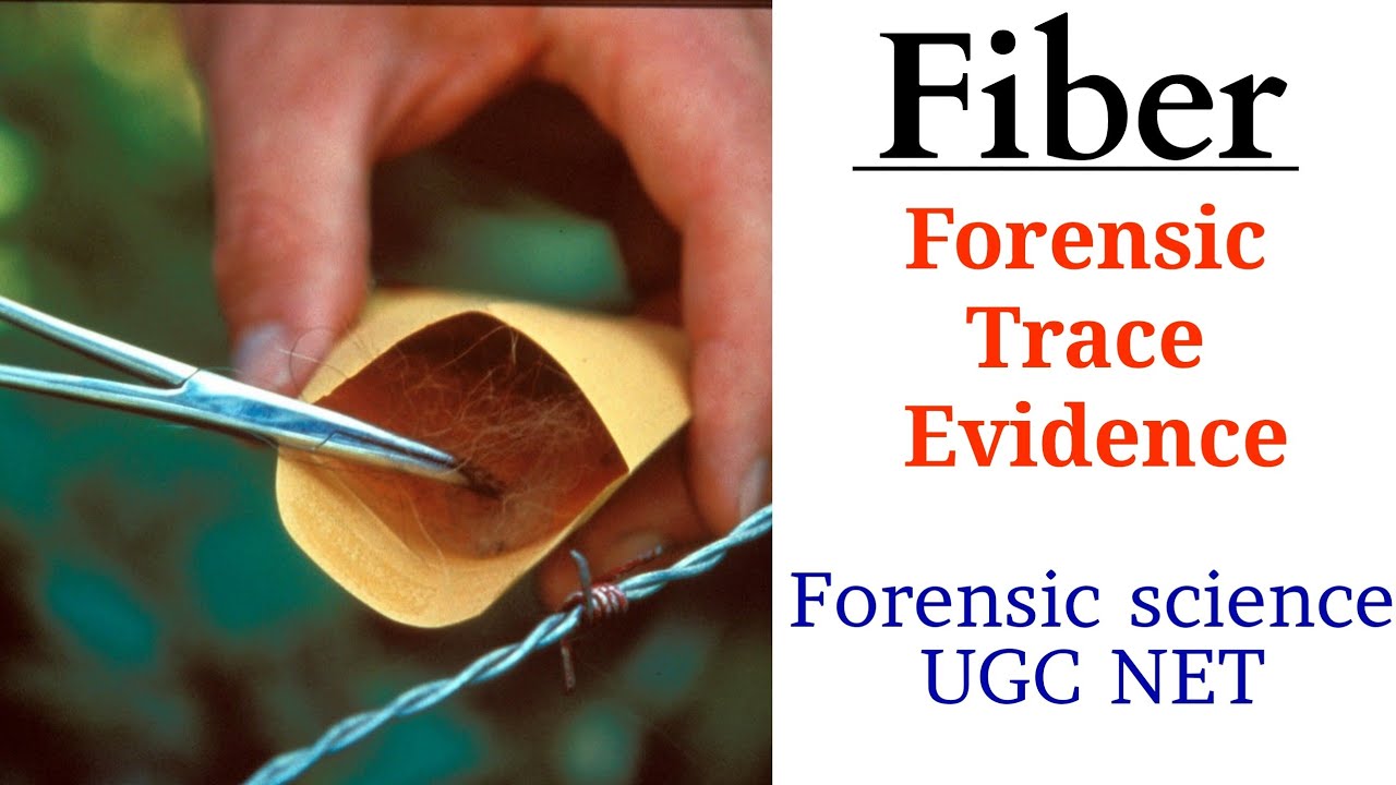 fiber evidence case study