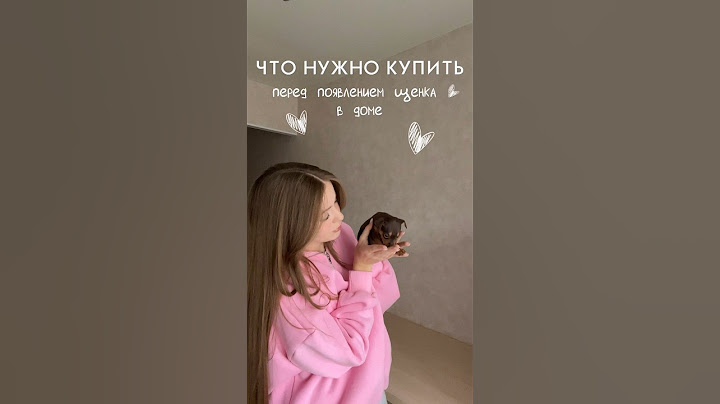 Все артикулы оставлю в комментариях 🫶🏼 #рекомендации #собака #тойтерьер #щенок #лайф