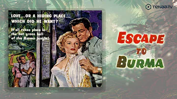 Escape To Burma (1955) | Full Movie