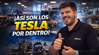 ASÍ es la TECNOLOGÍA que COMPONE  tu TESLA.