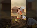 From Farm to Plate 🌾🍲 A Heartwarming Miniature