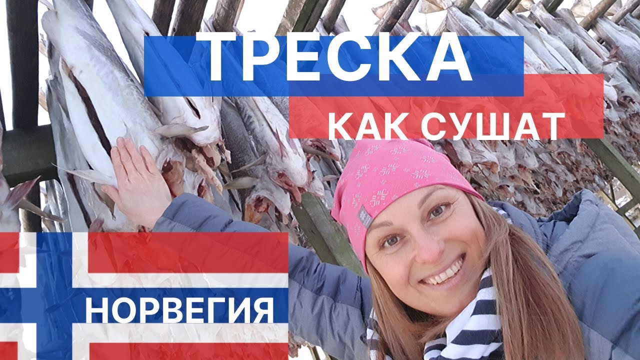 Норвегия. Февраль. Как сушат рыбу. Лофотенские острова.