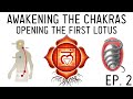 How to awaken the chakras activate the muladhara root chakra ep 2