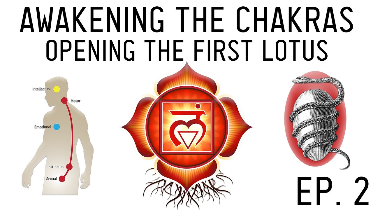 ⁣How to Awaken the Chakras: Activate the Muladhara Root Chakra (Ep. 2)