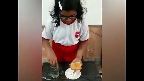 # growth of mould on bread slice #science experiment # Rhizopus stolonifer #gargians