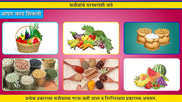 4th EVS 1 | Chapter#02 | Topic#07 | ऋतूमनाप्रमाणे सजीवांमध्ये होणारे बदल भाग २ | Marathi Medium