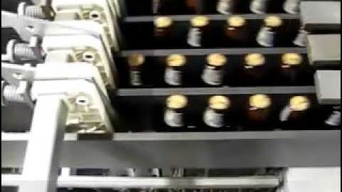 939S Versatron Servo Case Packer